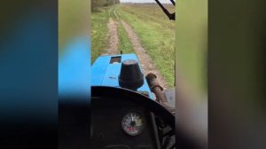 Удаление и вывезека навоза