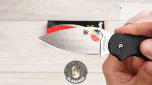 Нож Spyderco Sage 5, 123PBK, CPM S30V, FRN Black
