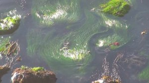 Relax with Dean Evenson's Music on the Big Sur Coast, from the CD "Healing Waters"