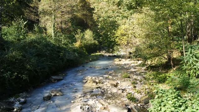 адлер 0001 смотреть онлайн