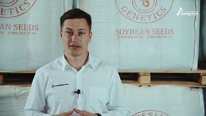 Как производит семена сои компания «Русская Генетика»