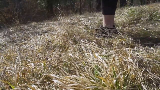 Juneći odrezak od 726 grama pečen u tavi. Debeo i sočan.