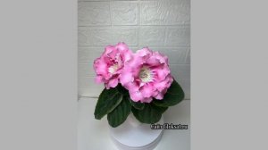 САТ- Симфония Нежности 🌸🌸🌸 Ароматная