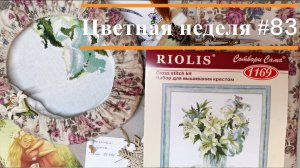 Цветная неделя 83//26.12.2024-15.01.2025. Риолис, Овен, Dimensions, Crystal Art, Мир вышивки, Панна