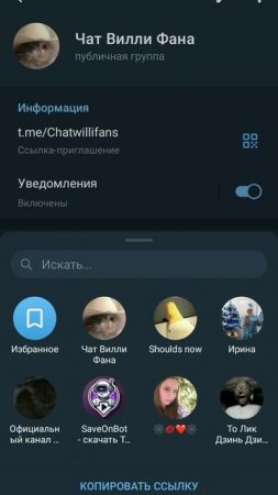 переходите по ссылке вот. https://t.me/Chatwillifans