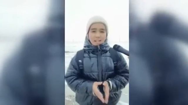 "Сегізсай негізгі орта мектебі" КММ. "Ауылдың өзекті мәселелері" смотреть онлайн