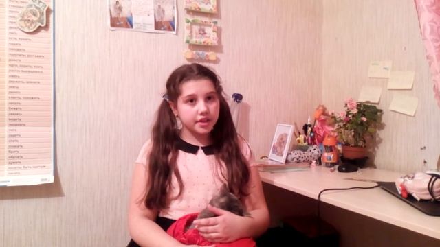 История выражения "купить кота в мешке".Чем заняться на карантине. смотреть онлайн