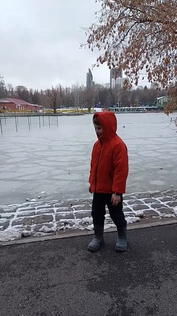 21 ноября 2024 г. смотреть онлайн