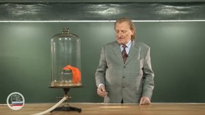 "Мы Вас приветствуем!"