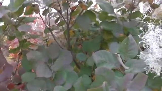 Поздравление