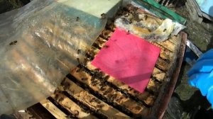 Практическое изготовление салфеток Ренди Оливера