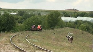 Путейцы движутся на путейской прицепе / Track workers ride on a draisine trolley