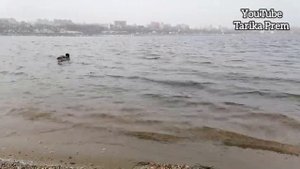 Притча. Цена времени