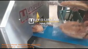 Горизонтальная упаковочная машина Флоупак  UYGURLAR UM-1200 (Турция)