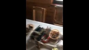 Гусь 2019. Часть 1 — Охота ГК "ТехНави" в Беларуси на секретной базе.