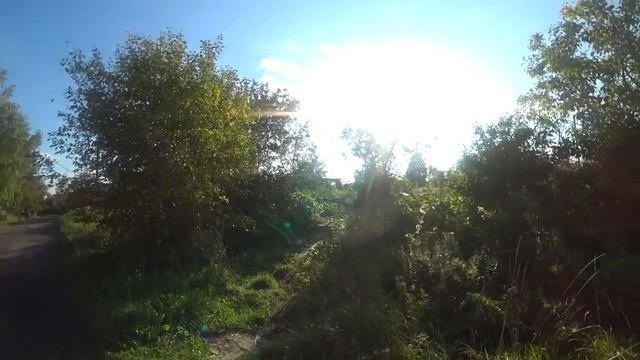 Молодежная улица