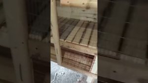 Клетка для кроликов из поддонов