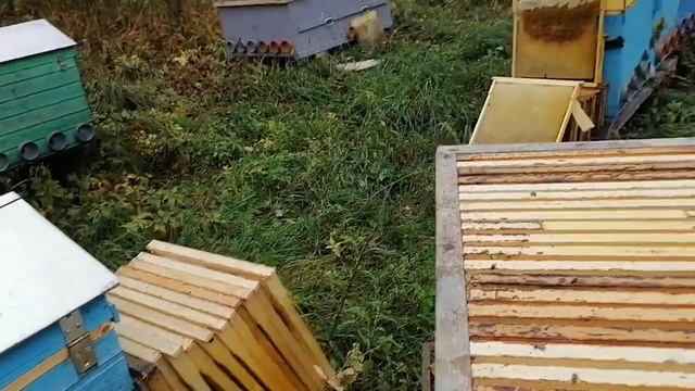 Перевозка рамок с медом с пасеки на откачку. смотреть онлайн