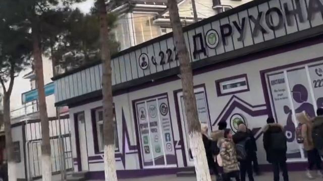 Пролетарск Джаббор Расуловский р-он 2024 год Согдийская область Таджикистан ...