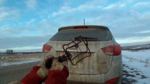 Установка капканов на ондатру - Проверка капканов Часть 2