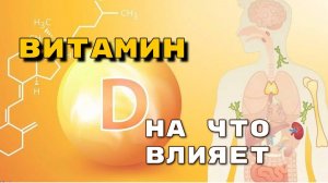 ВИТАМИН Д НА ЧТО ВЛИЯЕТ