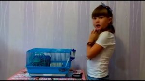 Vlog. Обзор: как ухаживать за хомяком