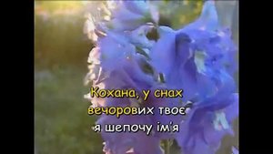 Кохана, коханий (Караоке) - Караоке з медом 2