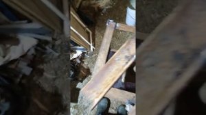 Воскопресс винтовой