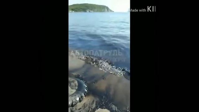 Владивосток, разлив нефти 1