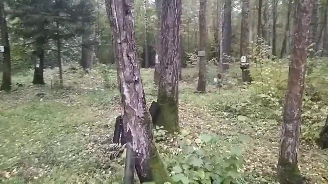 Коммунарка