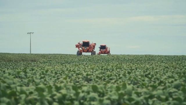 For the Weber family, love and agronomy are synonym! Come meet the family.