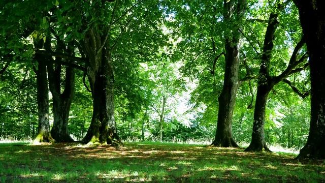 Семья Колесниковых/Новости из Дворца.