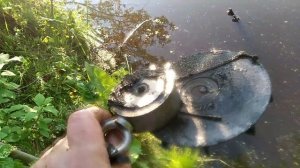 рыбалка на поисковый магнит пруд деревня 🤔🤔🤔