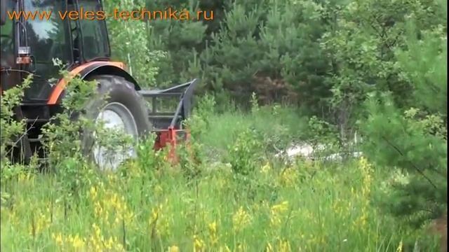 Мульчирование березы