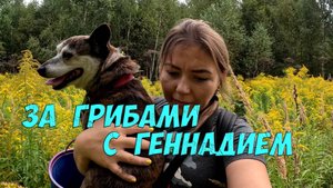 Собираем грибы с Геннадием - собачка-грибничок покажет нам грибные места