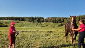 ЛОШАДЬ УПАЛА, ПАДЕНИЕ НА СКАЧКАХ Нина Принц учит бороться со страхами лошади. Сабантуй в Елабуге