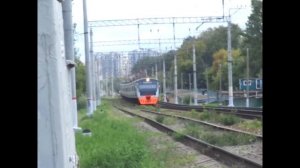 Встреча электропоездов ЭД4МКу-0153 и ЭД4М. Лето 2019 года. Перегон Дегунино - Бескудниково.