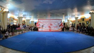 День рождения ДСА. Художественная гимнастика