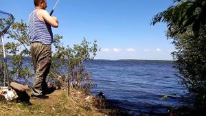 #Мешок рыбы на донки #Густера с леща #Сорожка гигант.