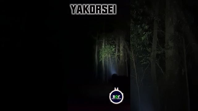 Yakorsei GD12 | 1600 Lumen TNO Flashlight #yakorseigd12 #brightonflashlight #shorts