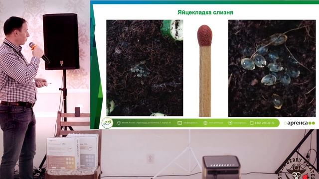 Биологизация выращивания ягоды | ГК Аргенса на антиконференции Клубничных пиратов. Белореченск 2023