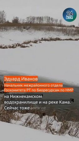 Житель Нижнекамска обеспокоен судьбой зимующих на озере уток