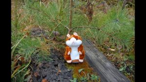 говорящий хомяк и танцующий кот на прогулке  ФИЛЬМ УЖАСОВ