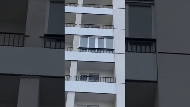 Остекление балкона по адресу: Шушары, Валдайская 6/1. Компания "Окно в Петербург".