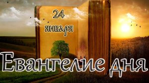 Апостол, Евангелие и Святые дня. Прп. Феодо́сия Великого, общих житий начальника (529). (24.01.25)