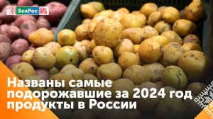 Росстат назвал самые подорожавшие продукты в России за 2024 год