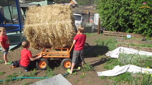 Жизнь за кадром. Обычные будни. (часть 194) (06.19) Семья Бровченко. смотреть онлайн