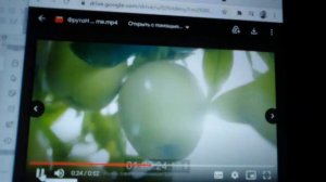 Фрутоняня - демозапись