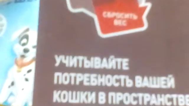 Покупки из ZOO смотреть онлайн