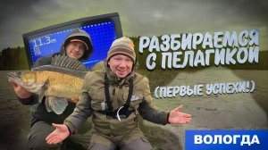 ЛОВЛЯ СУДАКА ПОЗДНЕЙ ОСЕНЬЮ - МЫ РАЗОБРАЛИСЬ С ПЕЛАГИКОЙ!